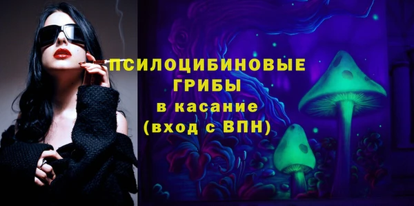 гашик Новозыбков