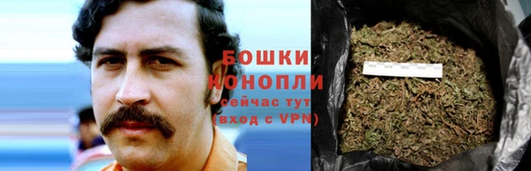 гашик Новозыбков
