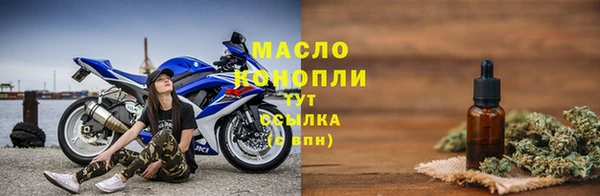 гашик Новозыбков