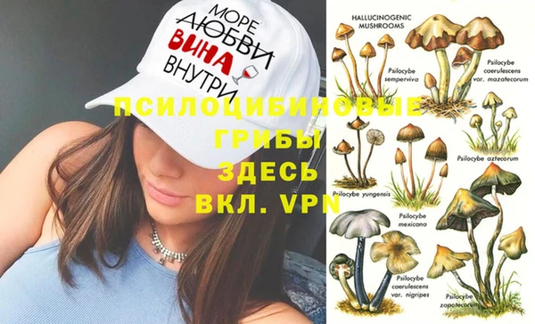 гашик Новозыбков
