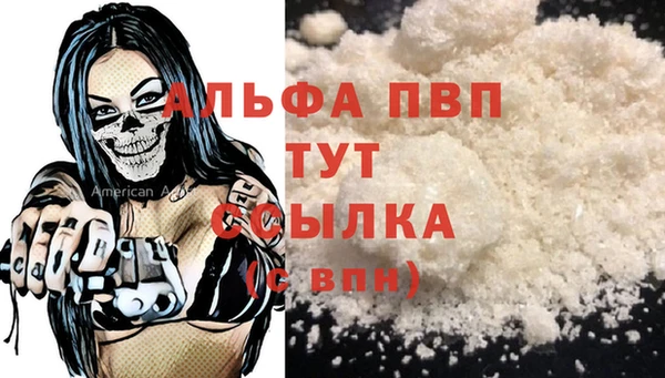 гашик Новозыбков