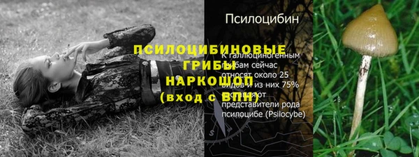 герыч Новодвинск