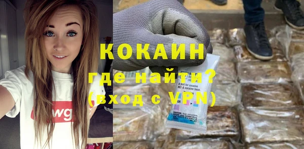 гашик Новозыбков