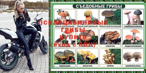 герыч Новодвинск