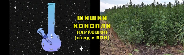 гашик Новозыбков