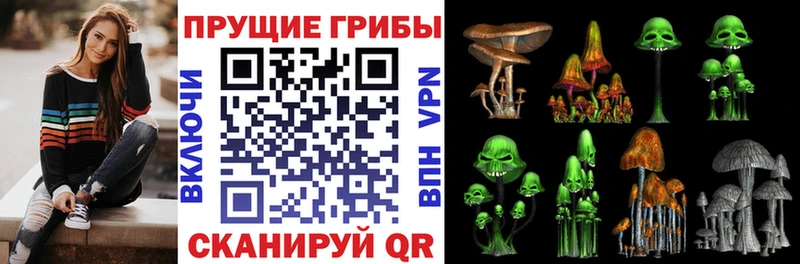 OMG рабочий сайт  Полярный  Псилоцибиновые грибы Magic Shrooms 
